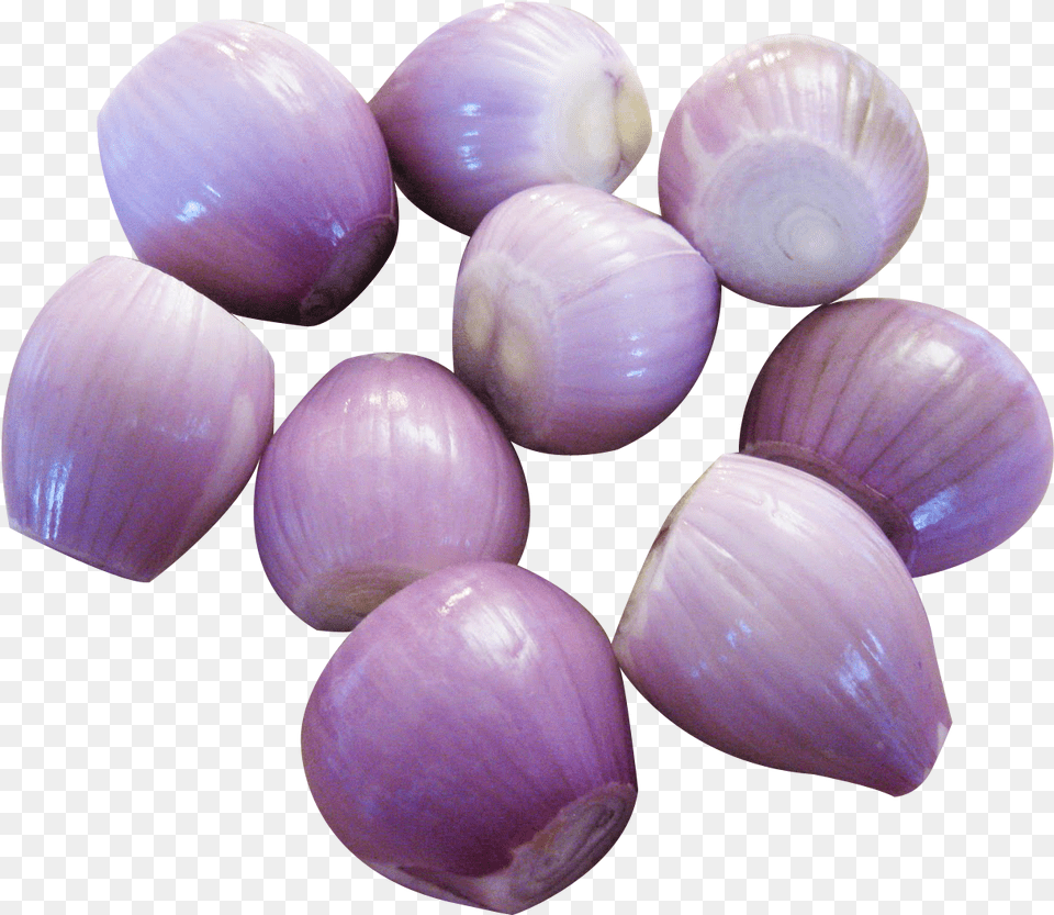 Shallots, Food, Produce, Onion, Plant Free Png