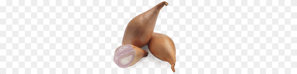 Shallots, Food, Produce, Onion, Plant Png Image