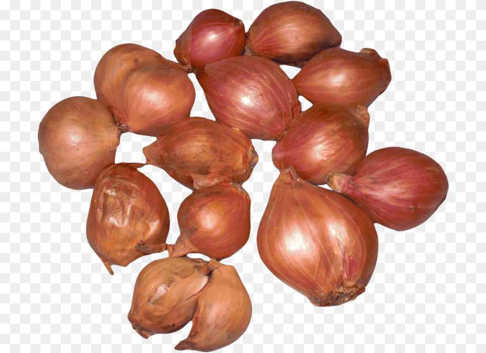 Shallots, Food, Onion, Plant, Produce Free Png Download