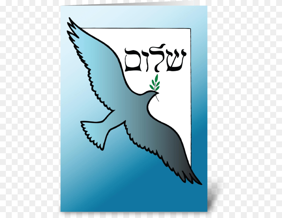 Shalom At Passover Dove Greeting Card Bird Of Prey, Animal, Seagull, Waterfowl, Silhouette Png