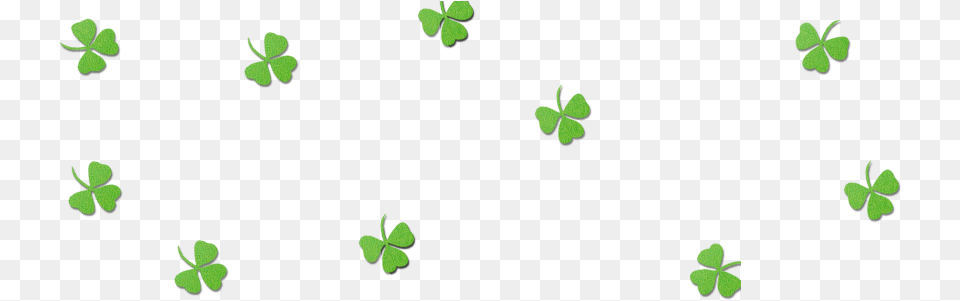 Shamrock, Green, Leaf, Plant, Symbol Png