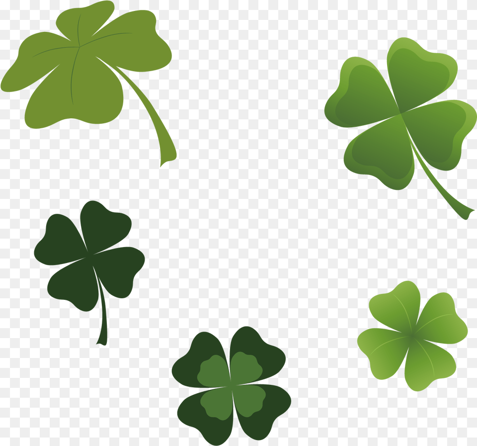 Shamrock, Green, Leaf, Plant, Flower Free Png