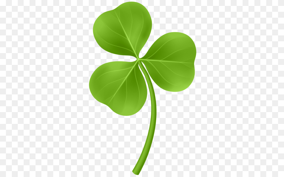 Shamrock, Leaf, Plant Free Png