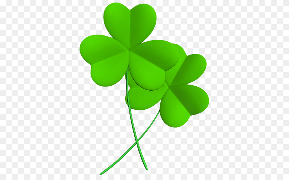 Shamrock, Green, Leaf, Plant Png