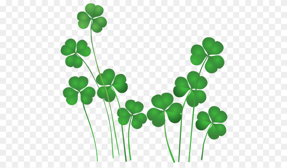 Shamrock, Green, Leaf, Plant, Balloon Free Png Download