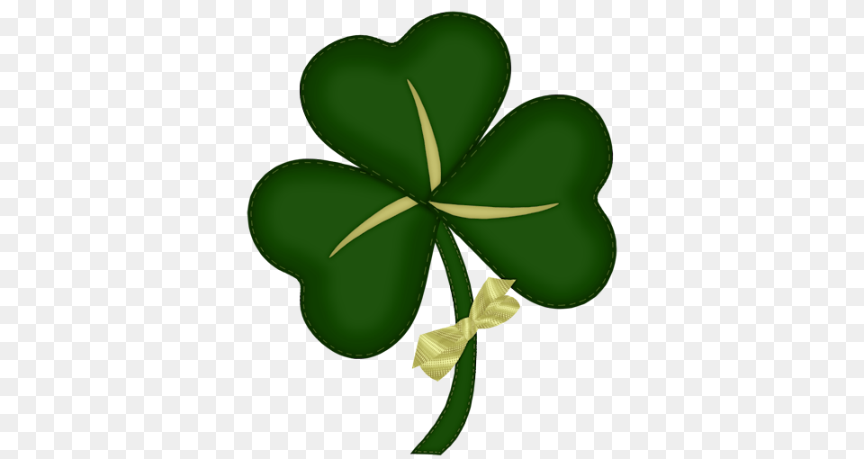 Shamrock, Green, Leaf, Plant, Herbal Free Png