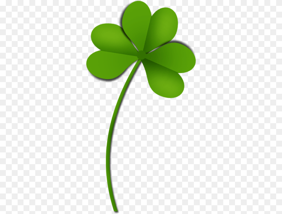 Shamrock, Green, Leaf, Plant, Appliance Png