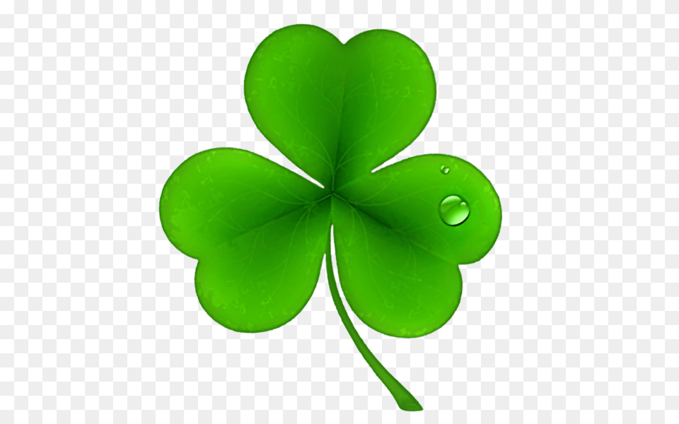 Shamrock, Green, Leaf, Plant Free Transparent Png