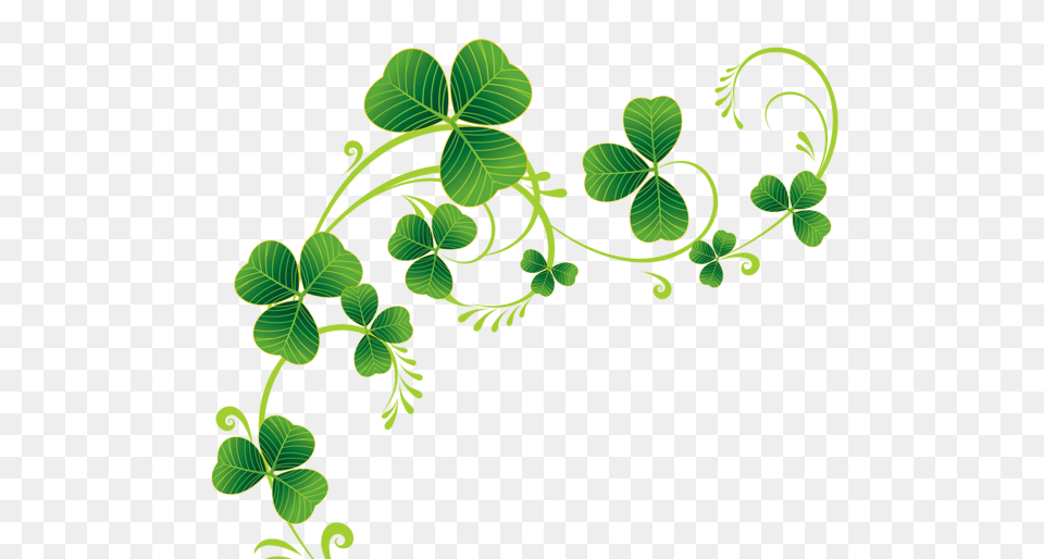 Shamrock, Art, Floral Design, Graphics, Green Png