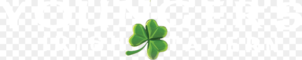 Shamrock, Leaf, Green, Herbal, Herbs Png