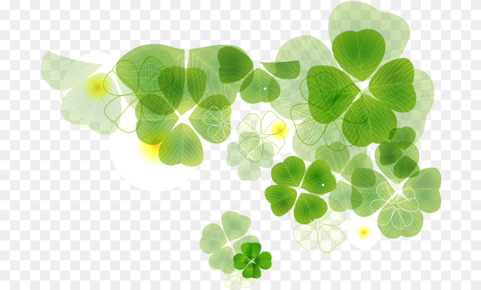 Shamrock Clover Leaf Fourleaf Hq Image Four Leaf Clover Plates, Tennis Ball, Tennis, Sport, Plant Free Transparent Png