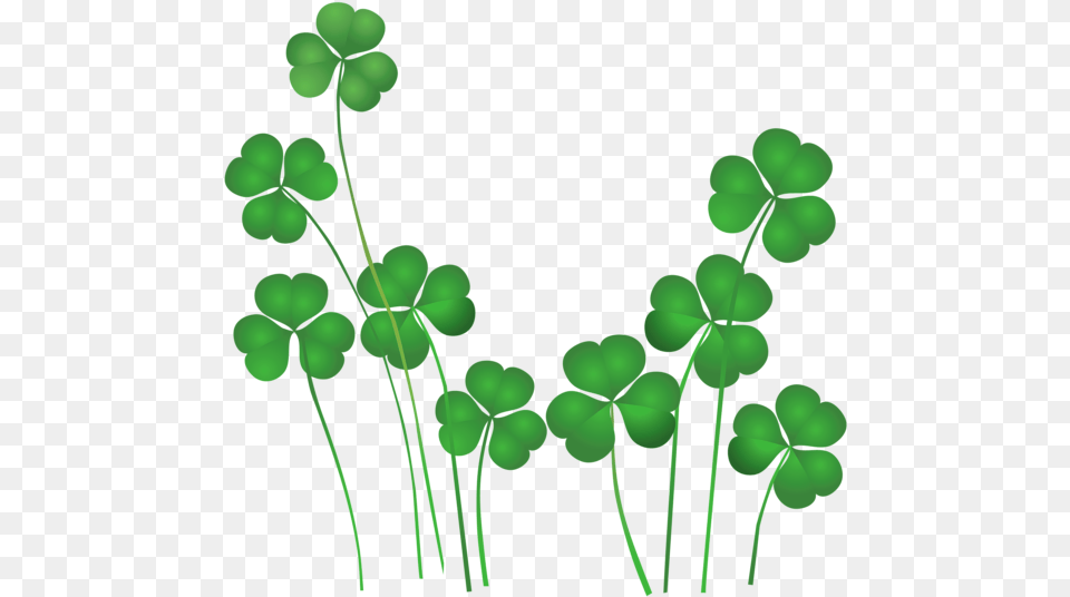 Shamrock Outline, Green, Leaf, Plant Free Transparent Png