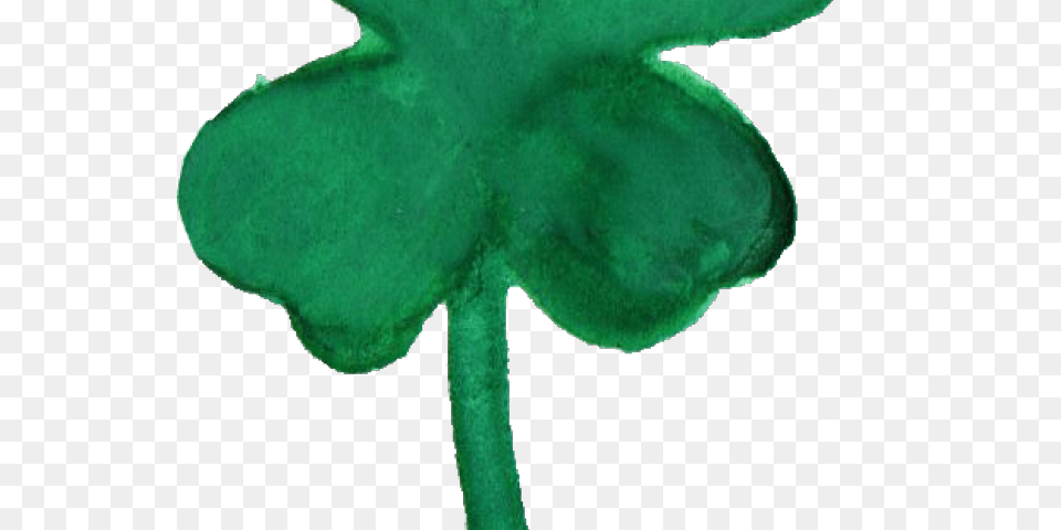 Shamrock Transparent Images, Leaf, Plant, Flower, Petal Png