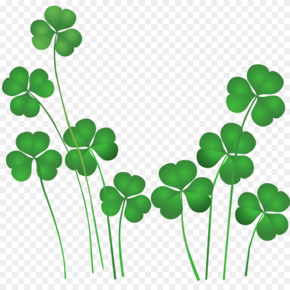 Shamrocks Clip Art Clipart Download, Green, Leaf, Plant, Flower Free Transparent Png