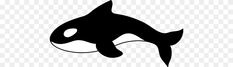 Shamu Clipart, Head, Person, Face, Mustache Free Png