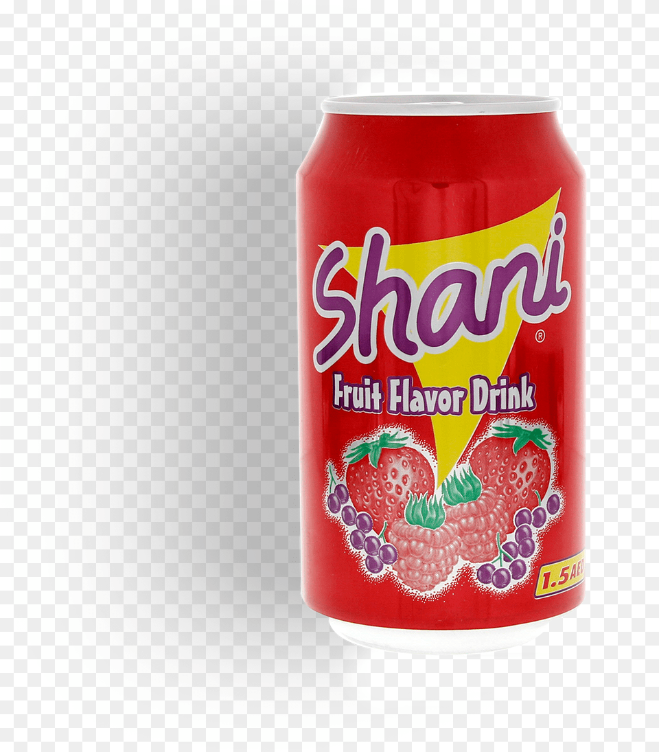 Shani Fruit Flavored Drink, Can, Tin Png