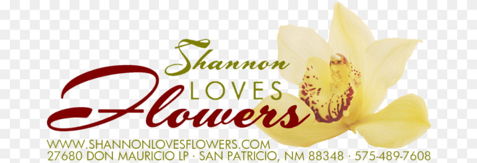 Shannon Loves Flowers Yellow Flower Logo, Anther, Petal, Plant, Orchid Png