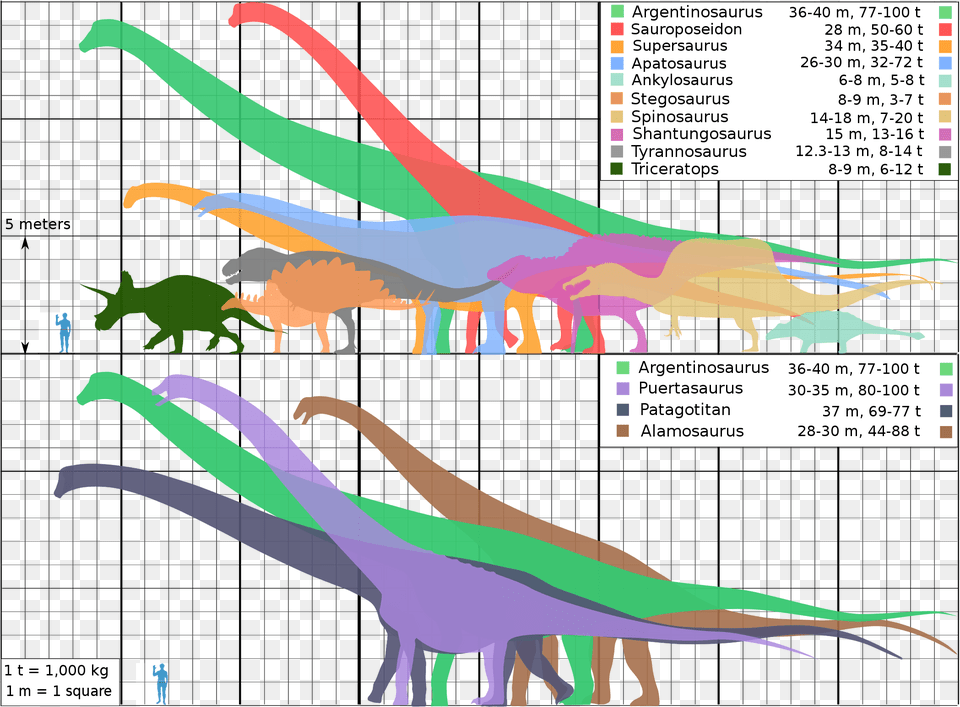 Shantungosaurus Size, Animal, Dinosaur, Reptile, Kangaroo Free Transparent Png