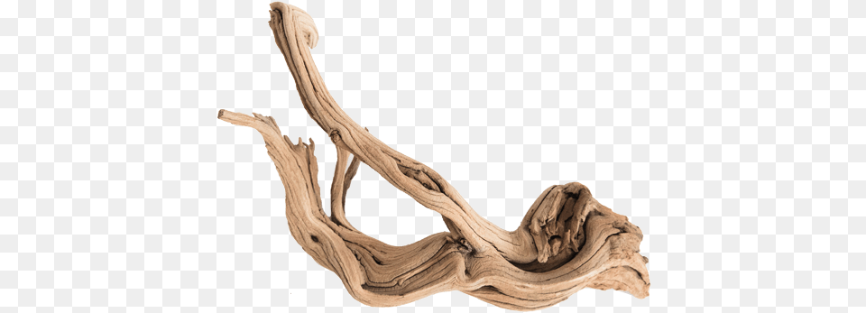 Shap Minifiss Bonsai Canada Driftwood, Wood, Smoke Pipe Png Image