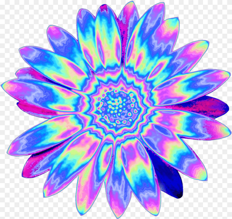 Shapely Flower Holo Holographic Tumblr Holographic Flowers, Accessories, Pattern, Purple, Ornament Free Png