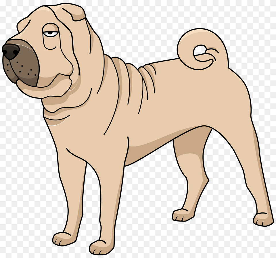 Shar Pei Clipart, Animal, Canine, Mammal, Pet Free Png