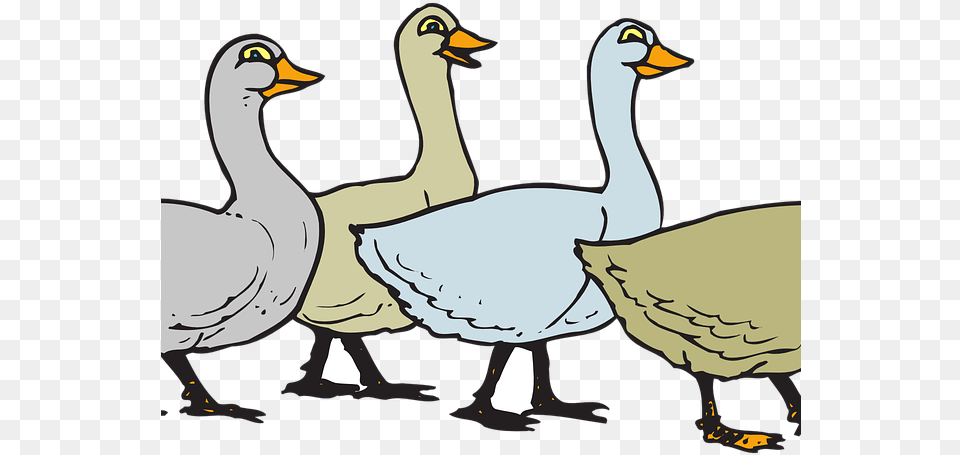 Share Geese Clipart, Animal, Bird, Goose, Waterfowl Free Png Download