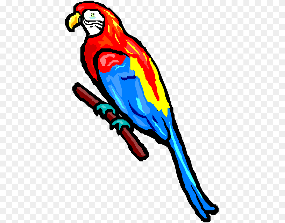 Share Parrot, Person, Animal, Bird, Macaw Free Transparent Png