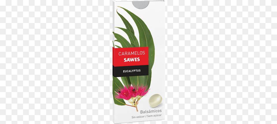Share Sawes, Herbal, Herbs, Plant, Advertisement Free Transparent Png
