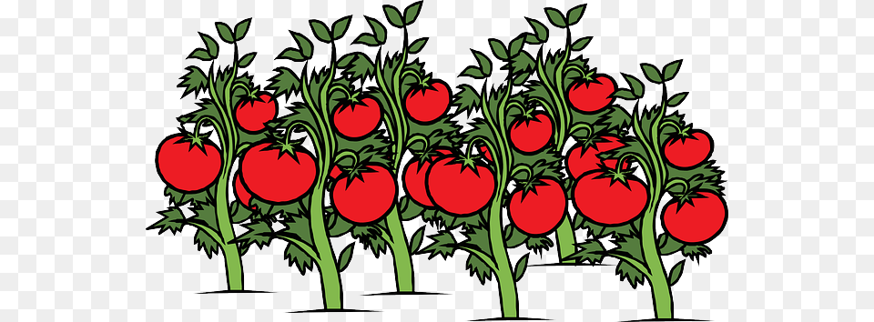 Share This Activities, Food, Produce, Fruit, Plant Png Image