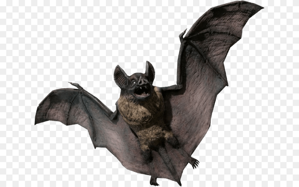 Share This Bat 3d Model, Animal, Mammal, Wildlife Free Png Download