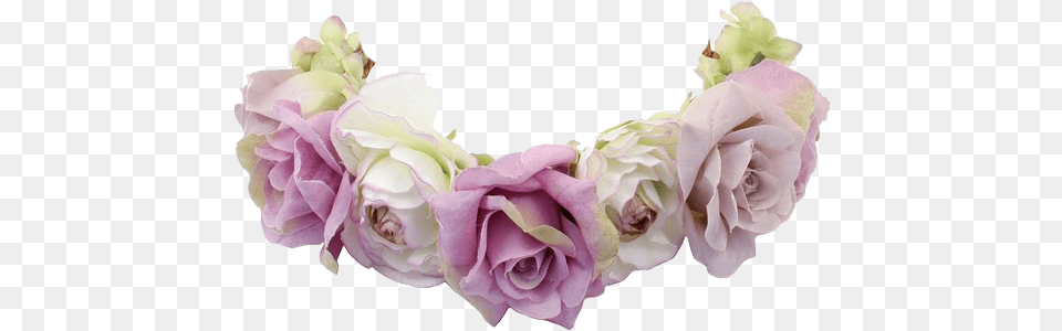 Share This Flower Crown, Flower Arrangement, Plant, Rose, Accessories Free Png
