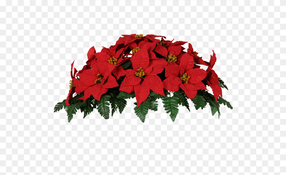 Share This Image Christmas Poinsettias Images, Flower, Flower Arrangement, Flower Bouquet, Geranium Free Png