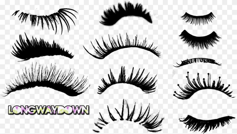 Share This Image Eyelash Psd Free Transparent Png