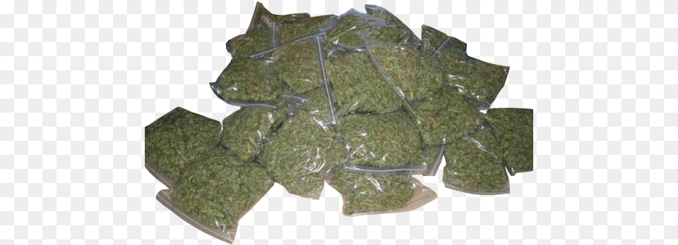 Share This Image Lot Of Weed, Herbal, Herbs, Plant, Moss Png
