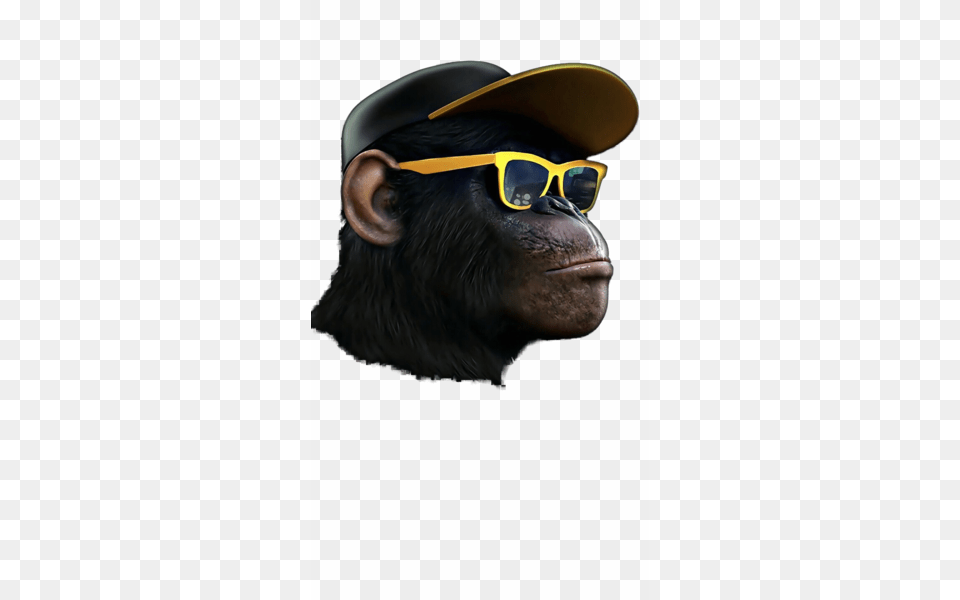 Share This Image Monkey Hipster, Accessories, Sunglasses, Adult, Person Free Transparent Png