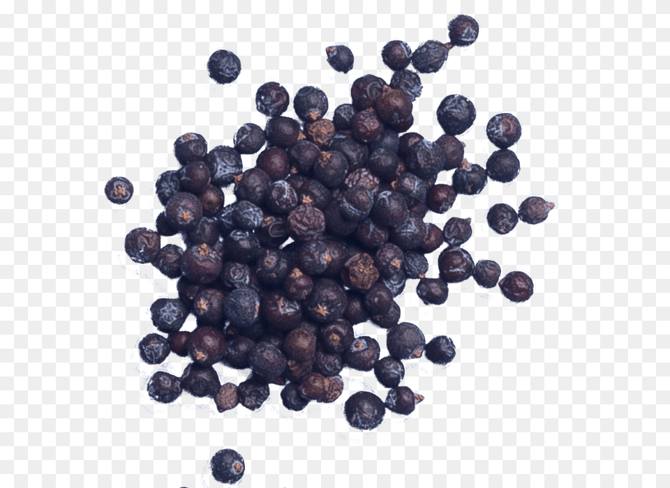 Share This With Someone Juniper Berry, Blueberry, Food, Fruit, Plant Free Png