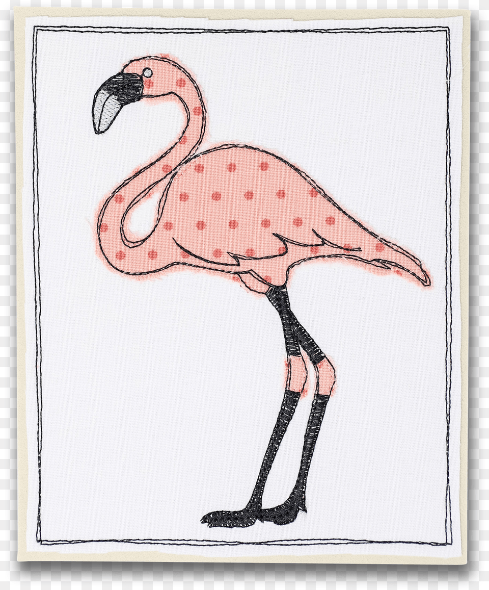 Shares Greater Flamingo, Animal, Beak, Bird, Clothing Png