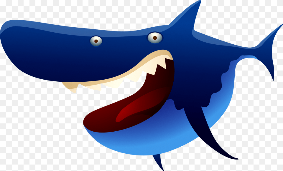 Shark, Animal, Fish, Sea Life Png Image