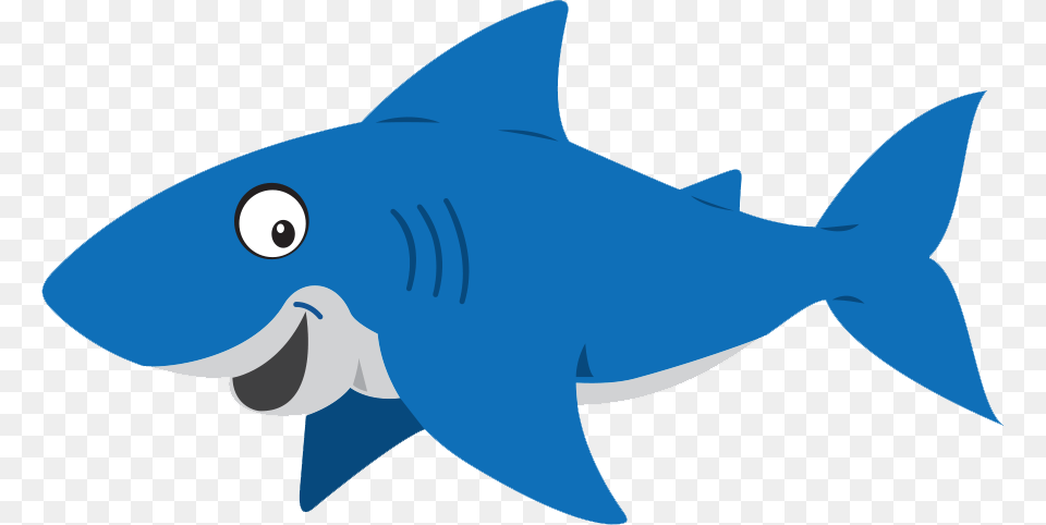 Shark, Animal, Fish, Sea Life Free Png Download