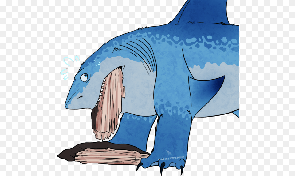 Shark, Animal, Sea Life, Fish, Person Free Png Download