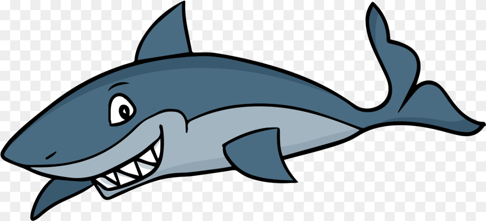 Shark, Animal, Sea Life, Fish Png Image