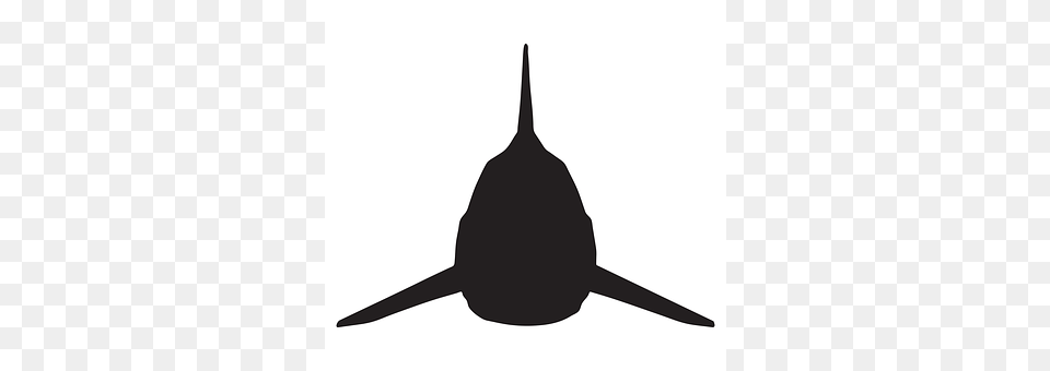 Shark Silhouette, Animal, Sea Life, Fish Png Image