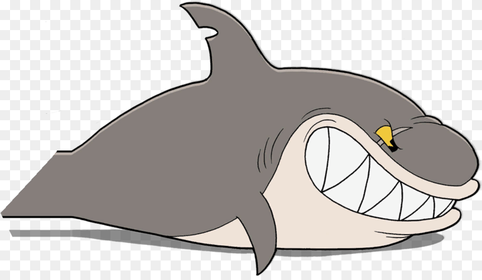 Shark, Animal, Sea Life, Mammal, Whale Free Png