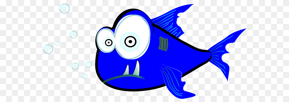 Shark Animal, Sea Life, Fish Png Image