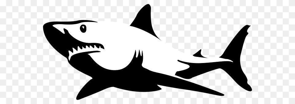 Shark Stencil, Animal, Fish, Sea Life Free Png