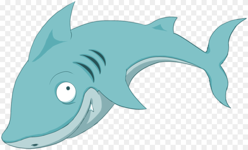 Shark, Animal, Sea Life, Fish Free Png