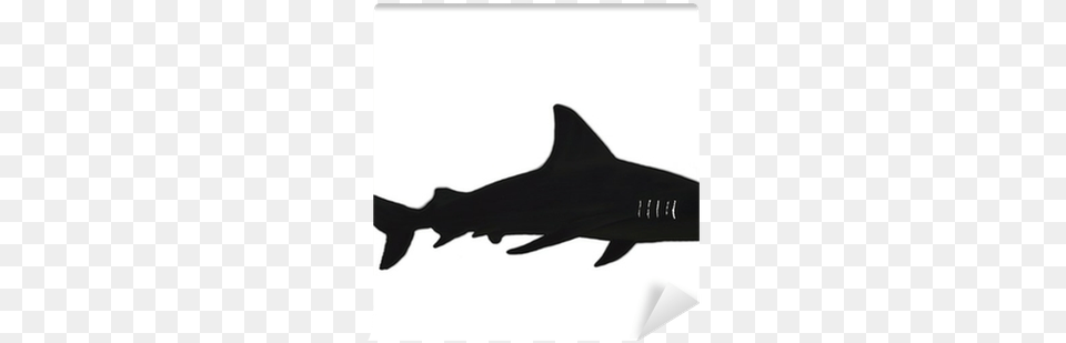 Shark, Animal, Sea Life, Silhouette, Fish Free Transparent Png