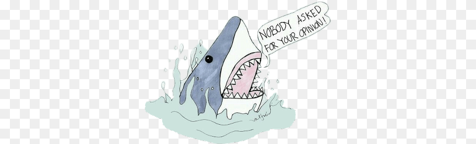 Shark, Animal, Sea Life, Fish Free Transparent Png