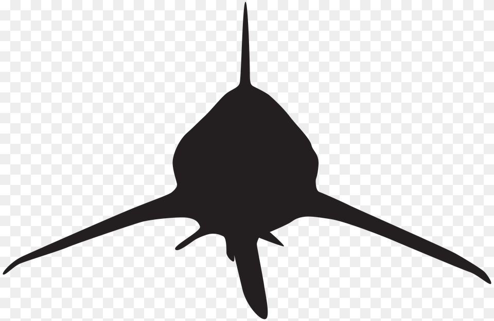 Shark Attack Cliparts, Animal, Sea Life, Fish, Swordfish Png Image
