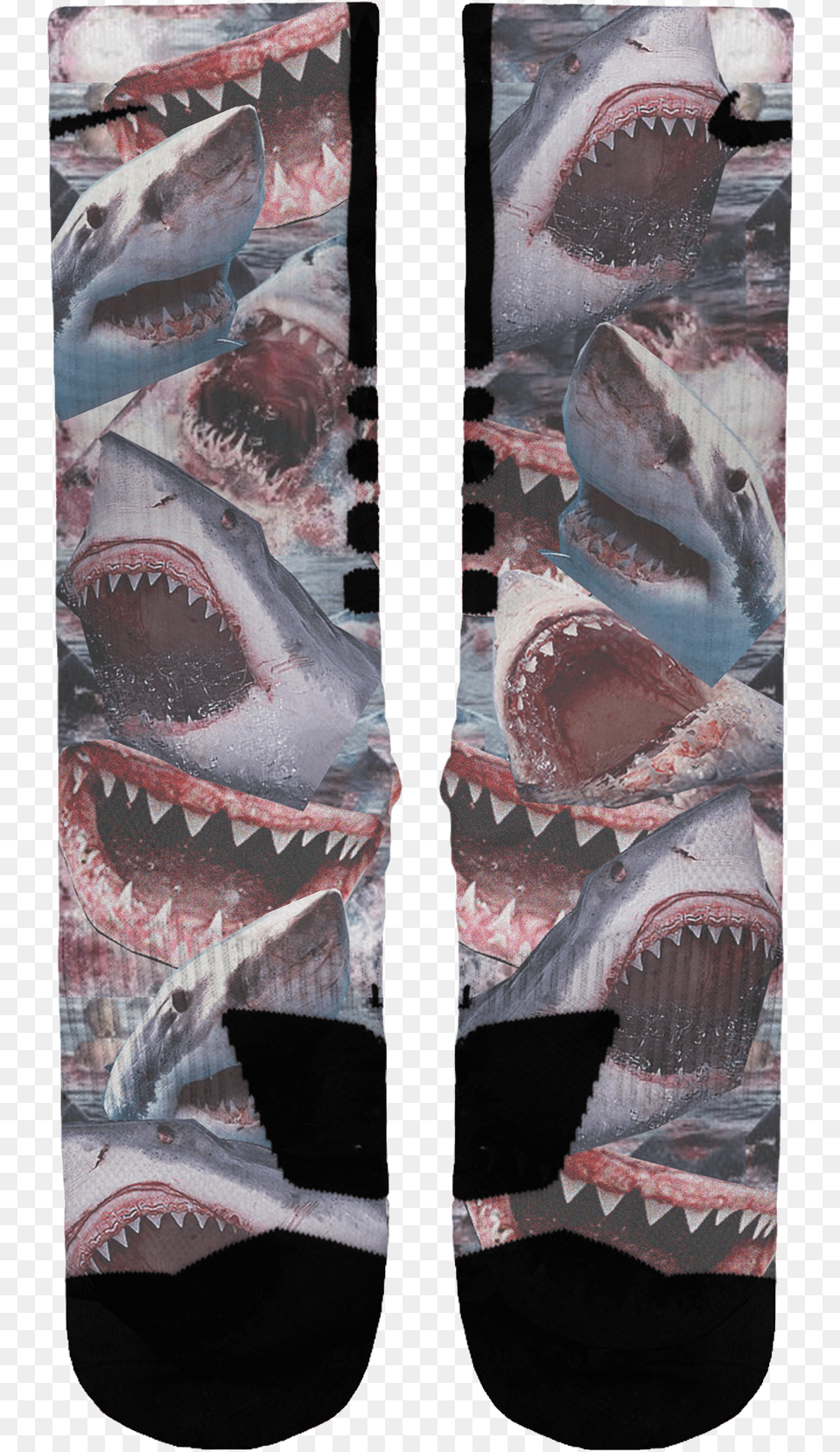 Shark Attack Custom Nike Elites Pacific Sturgeon, Animal, Fish, Sea Life Free Png Download